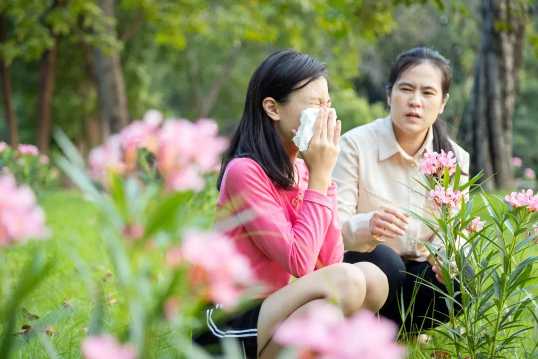 过敏性鼻炎，能长期用抗过敏药吗？鼻喷激素呢？